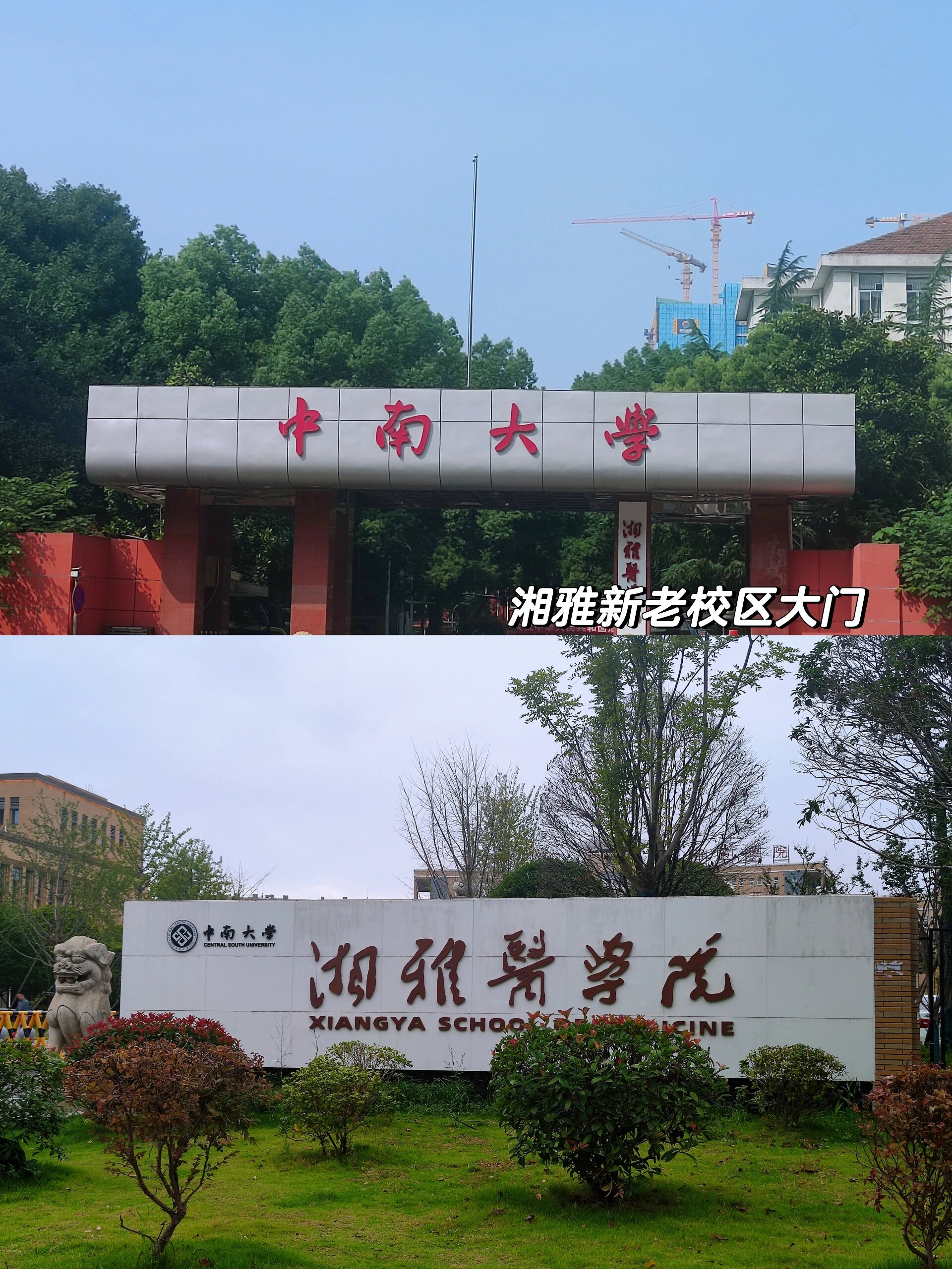 中南大学湘雅医院